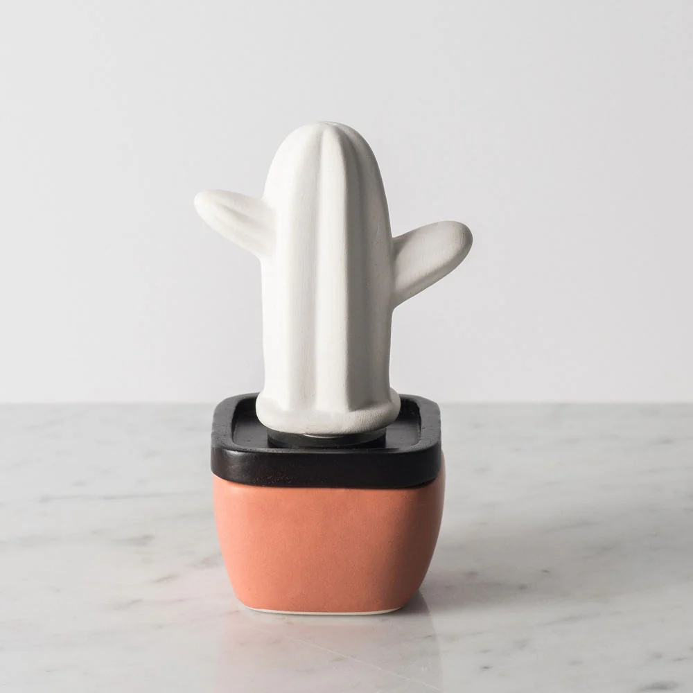 Coastal Cactus Porcelain Aroma Diffuser