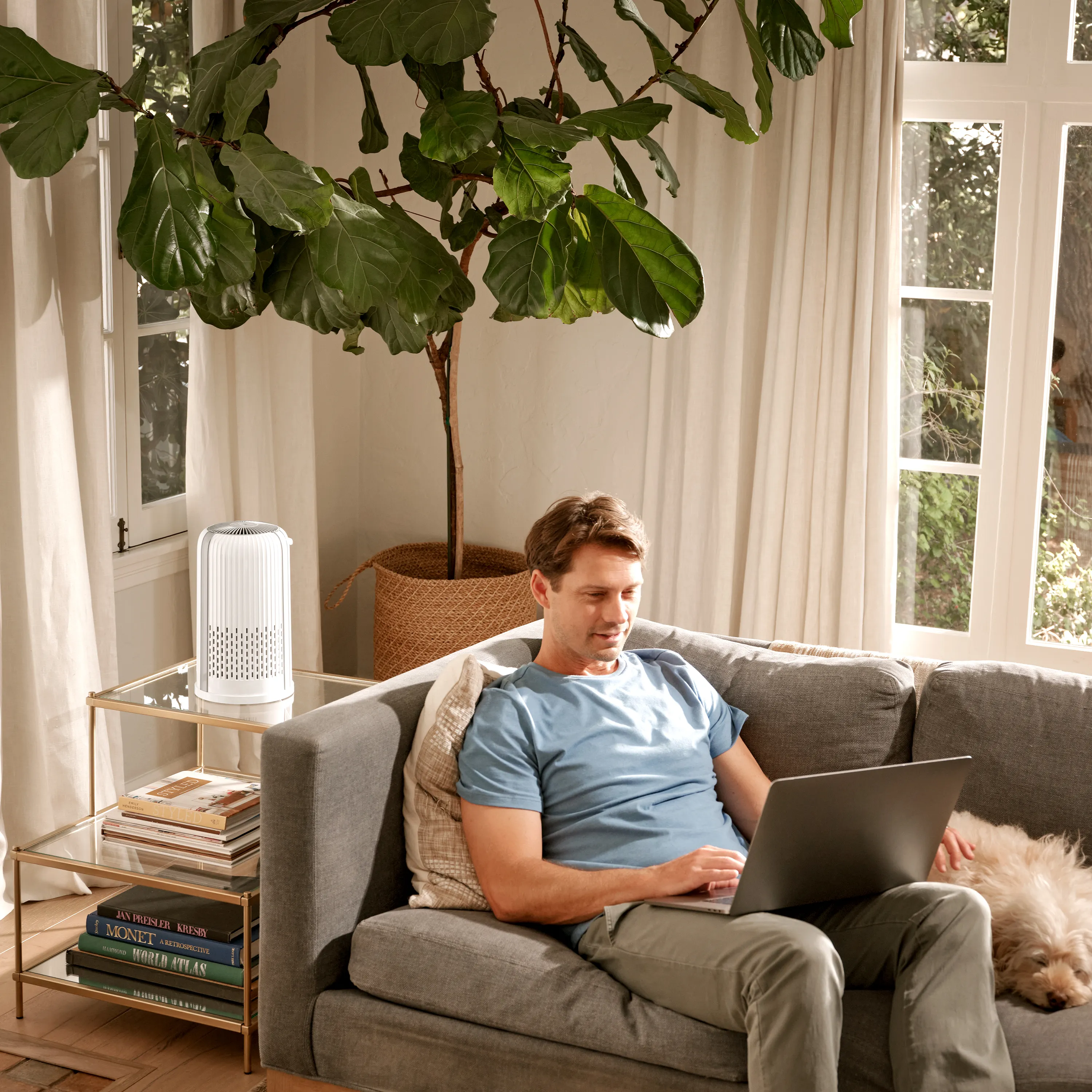 Air Purifier T12 - Image 6