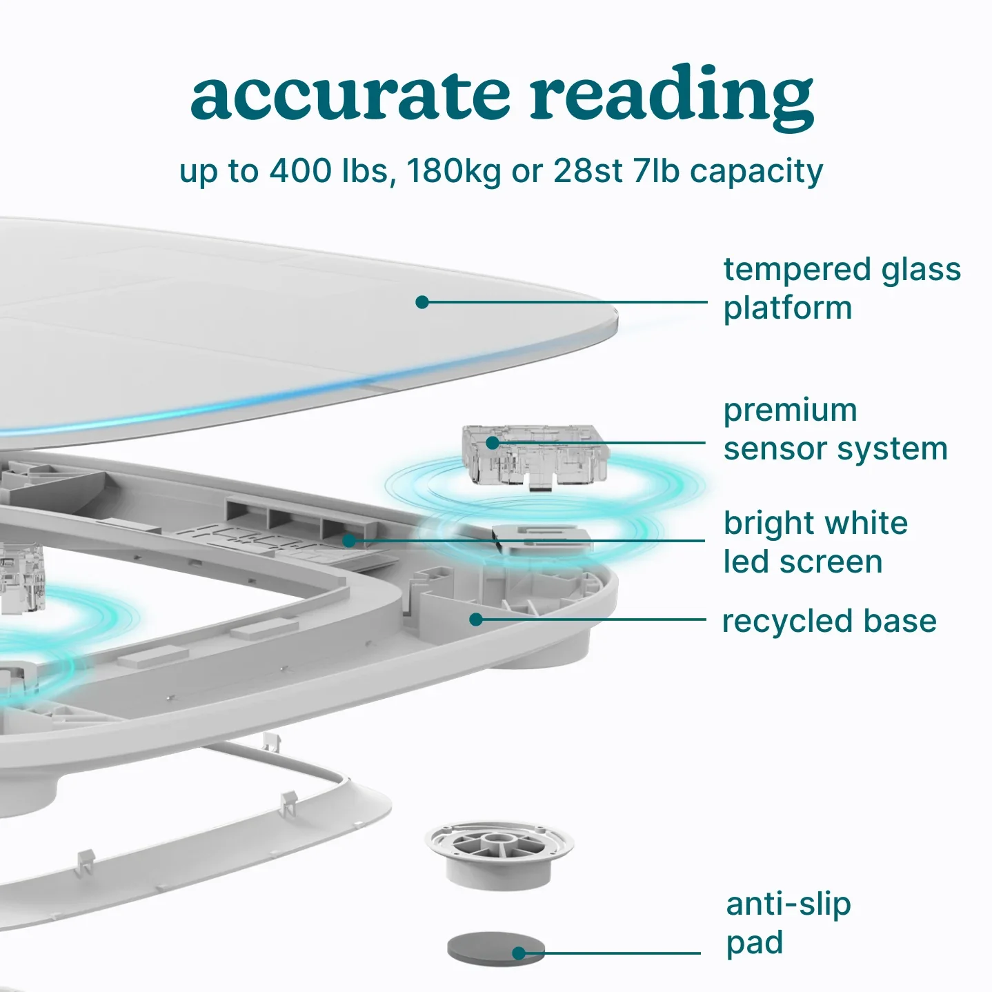 Luxe Smart Glo Scale - Image 15