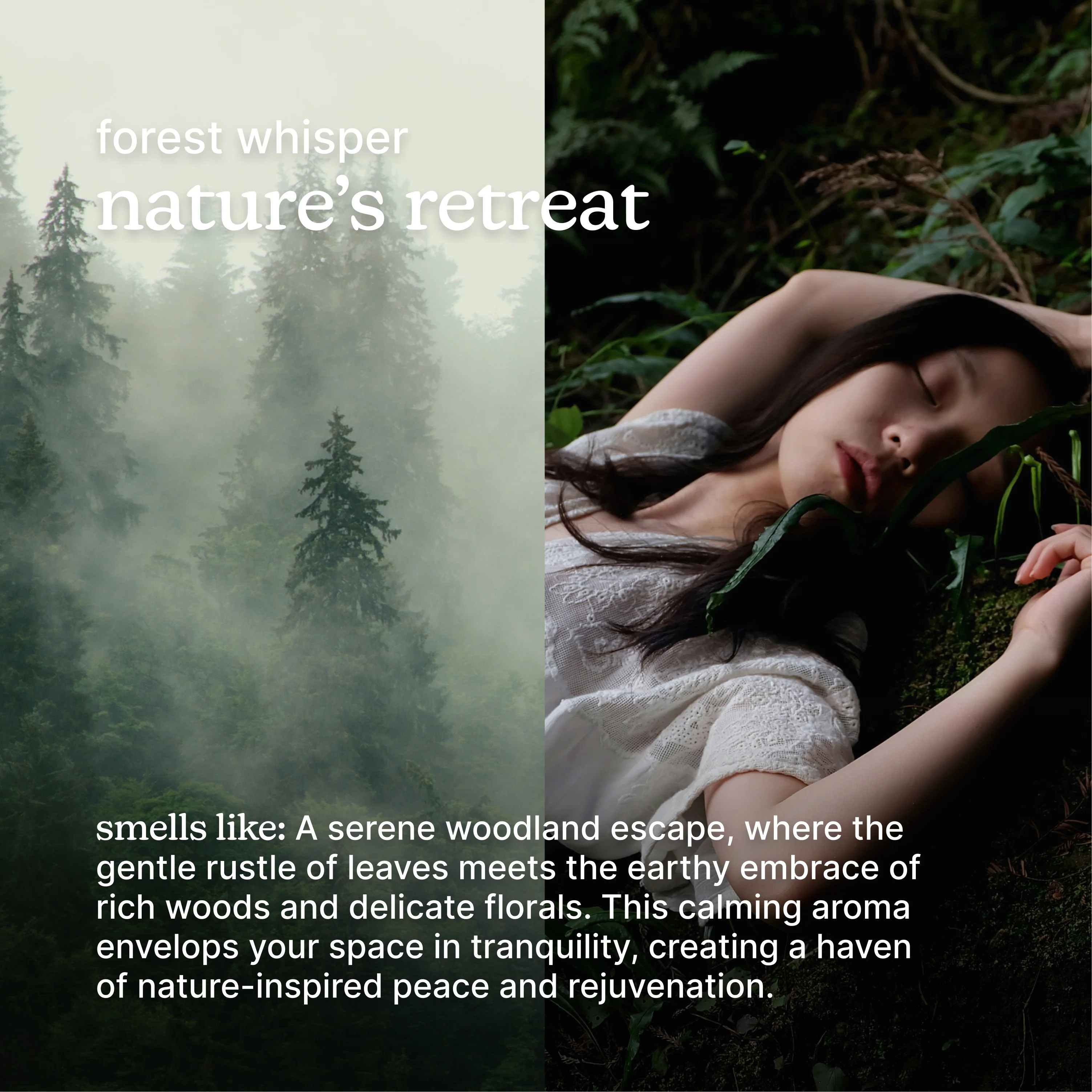 SereneScent™ Forest Whisper - Image 3