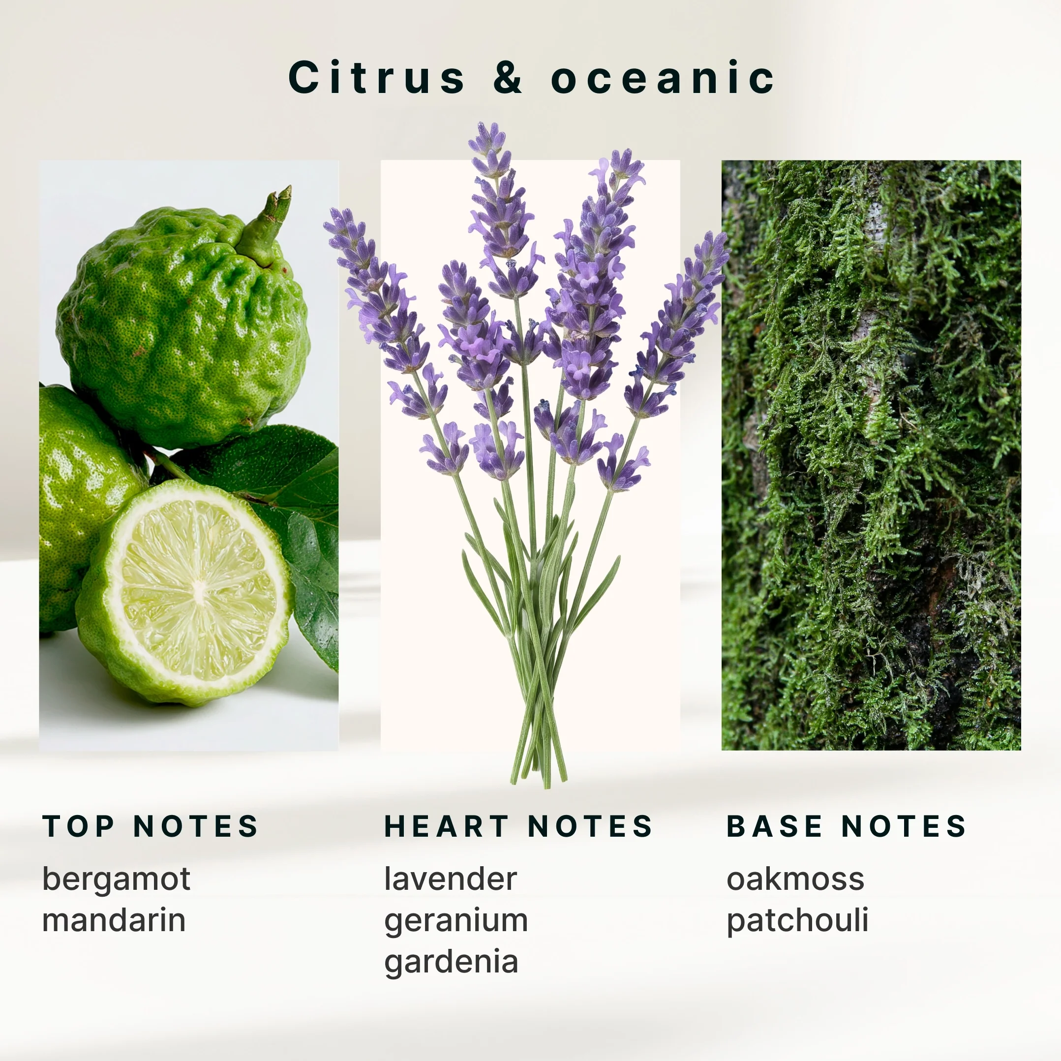 SereneScent™ Bergamot & Lavender - Image 6