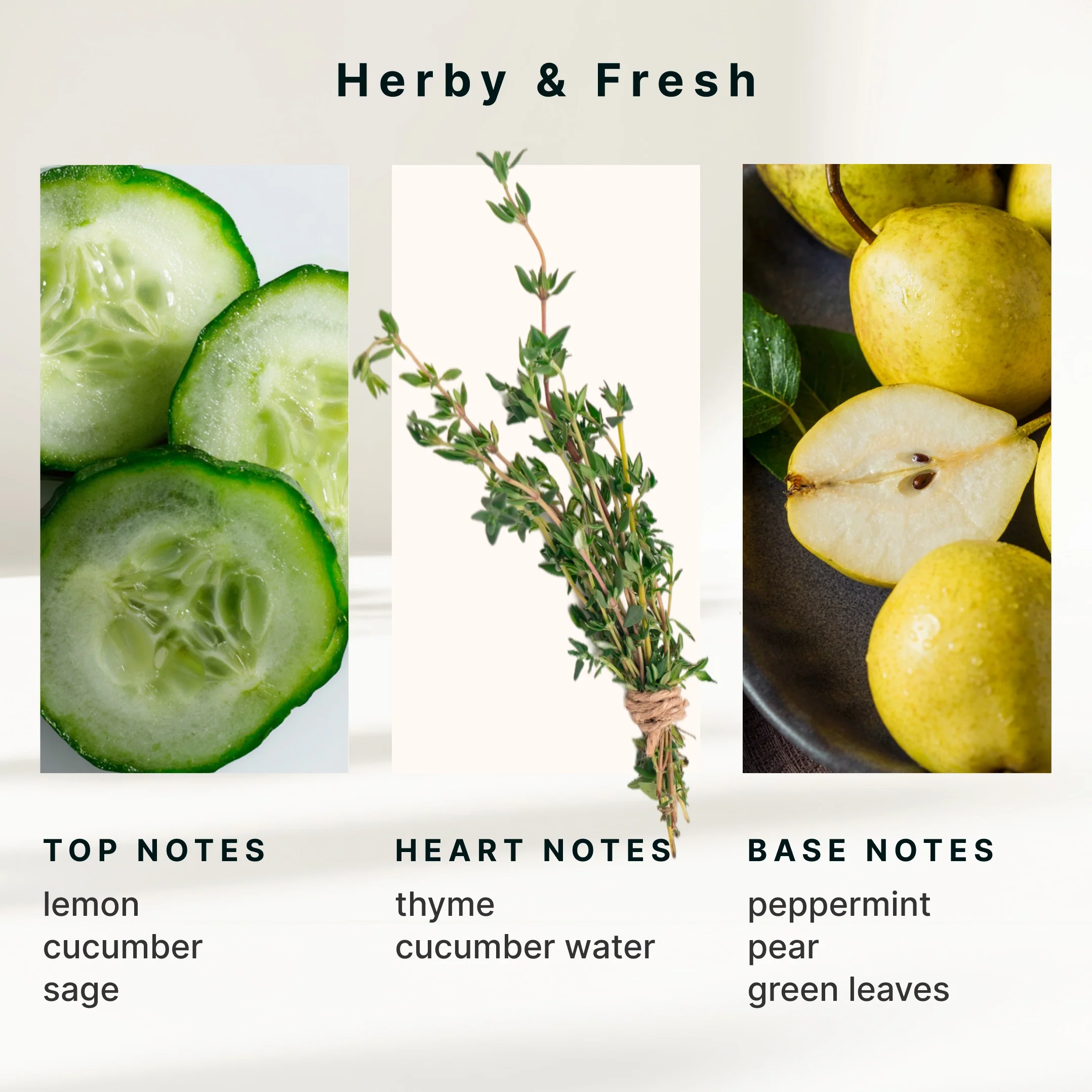 SereneScent™ Cucumber & Sage - Image 6