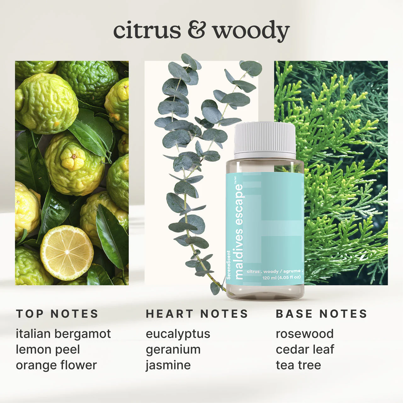 SereneScent™ Waterless Home Fragrance Diffuser & Oils Set - Image 3