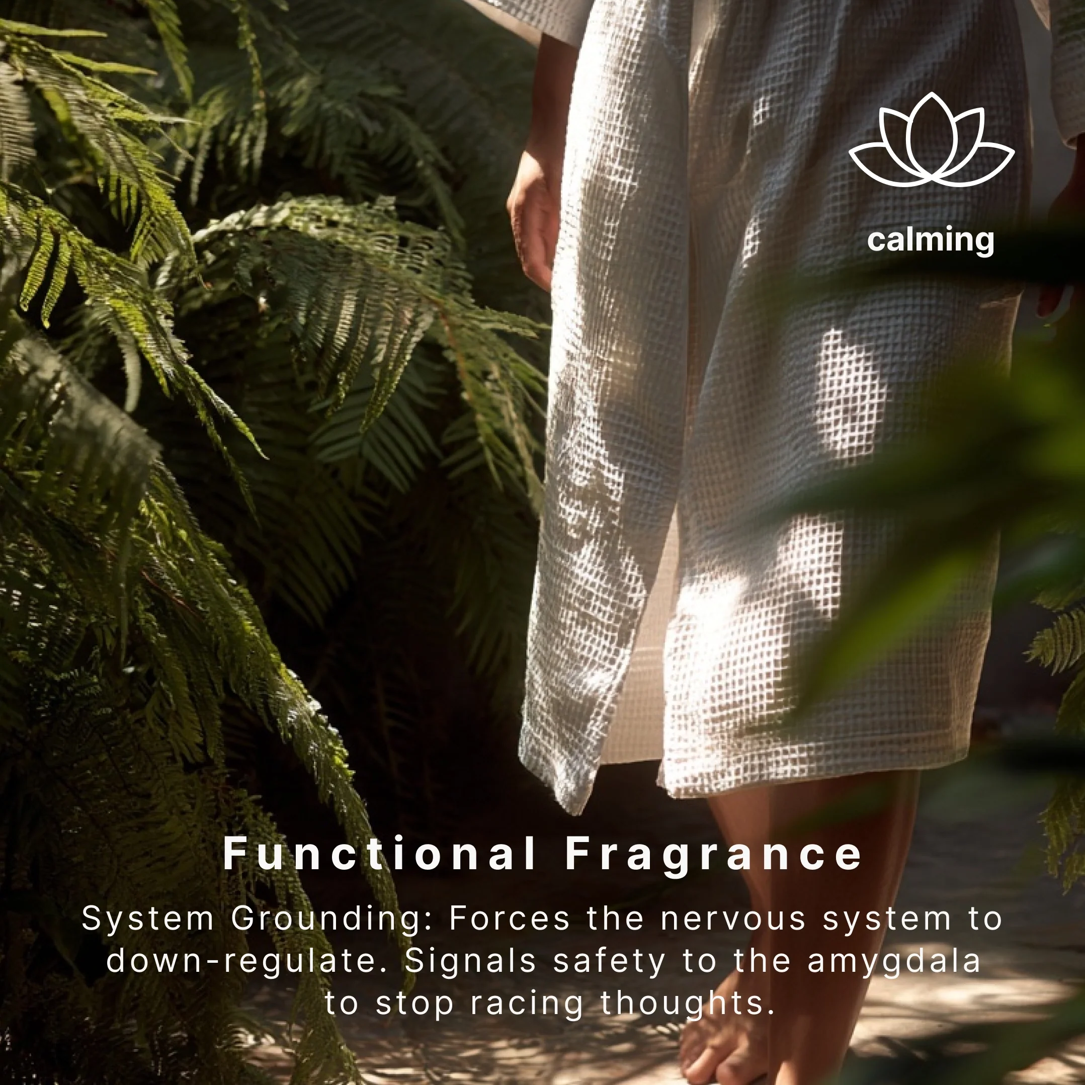 SereneScent™ Jasmine & Sandalwood - Image 3