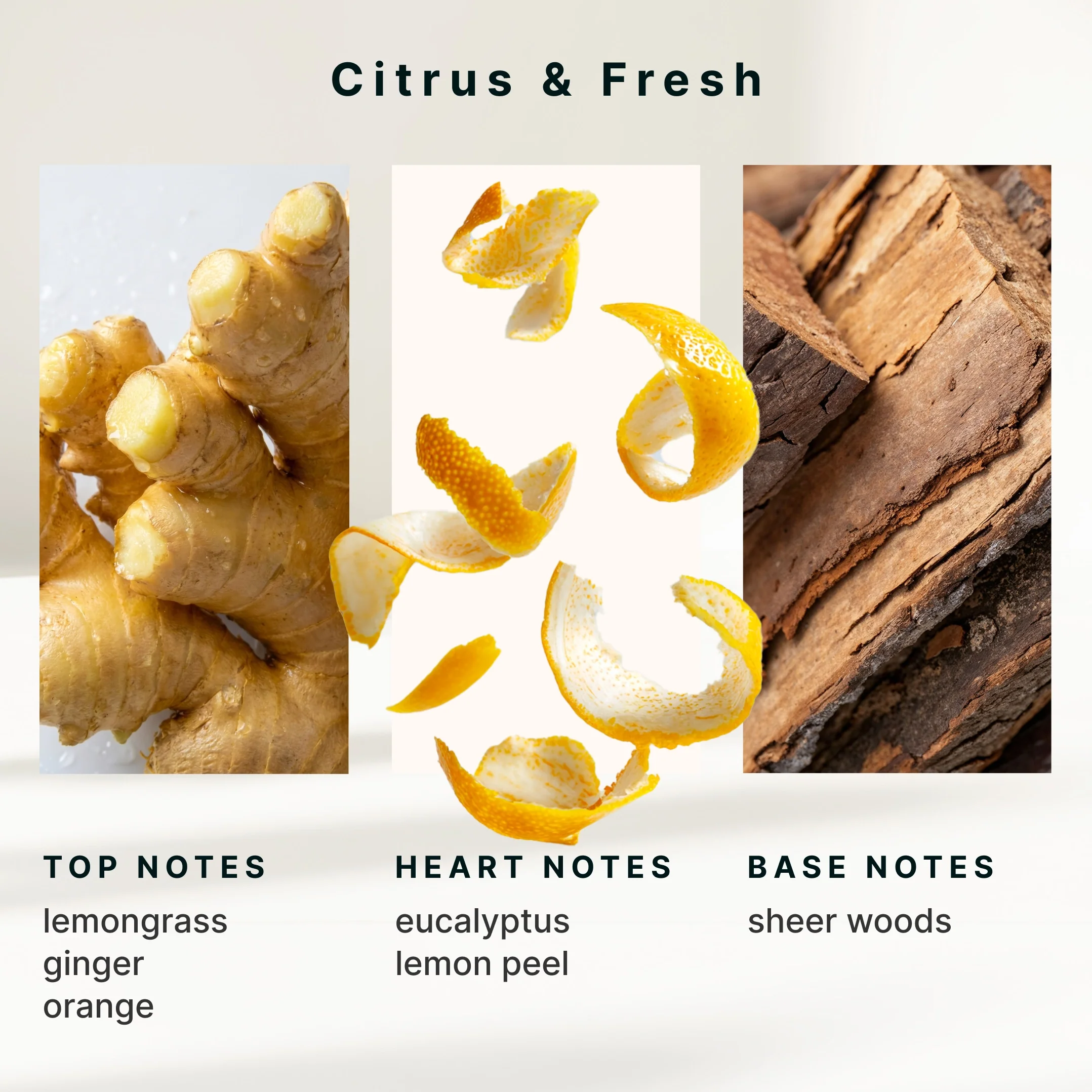 SereneScent™ Lemon & Ginger - Image 6