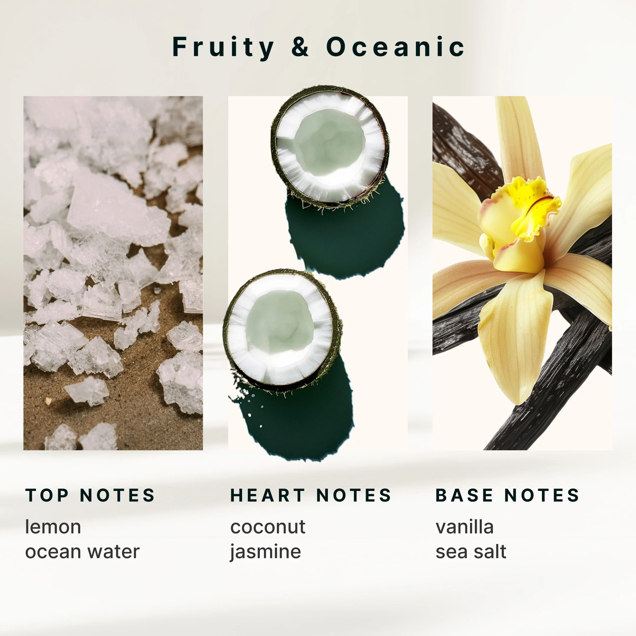 SereneScent™ Sea Salt & Coconut - Image 6