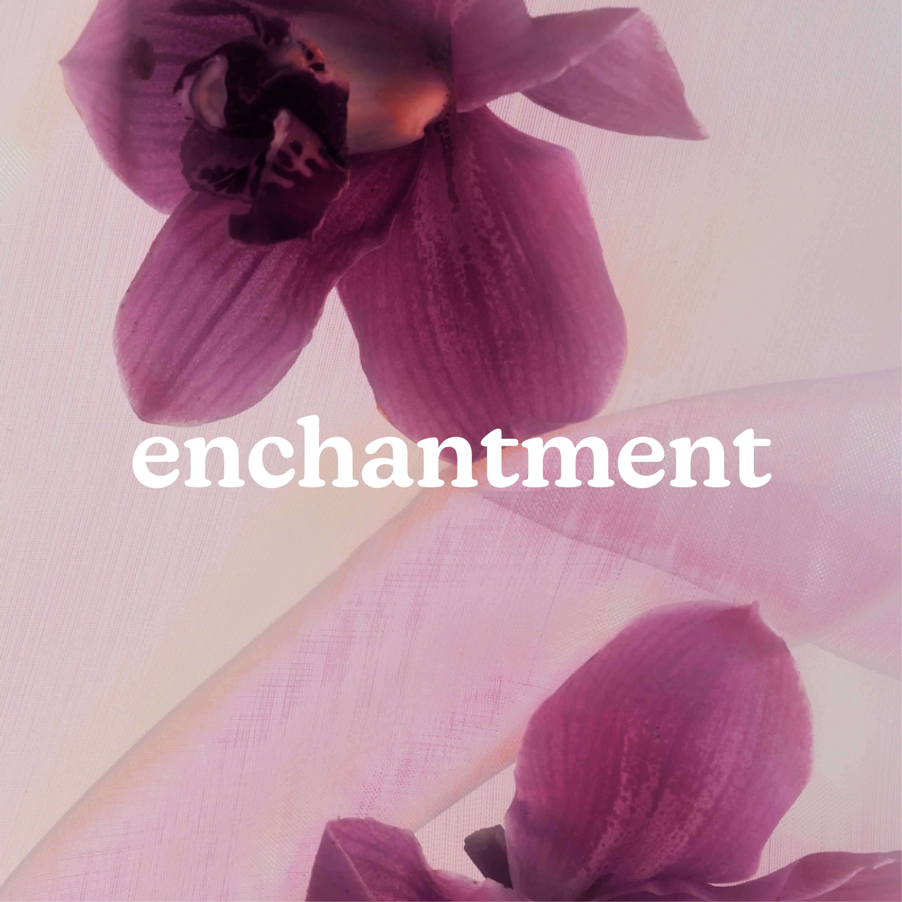 SereneScent™ Enchantment - Image 2