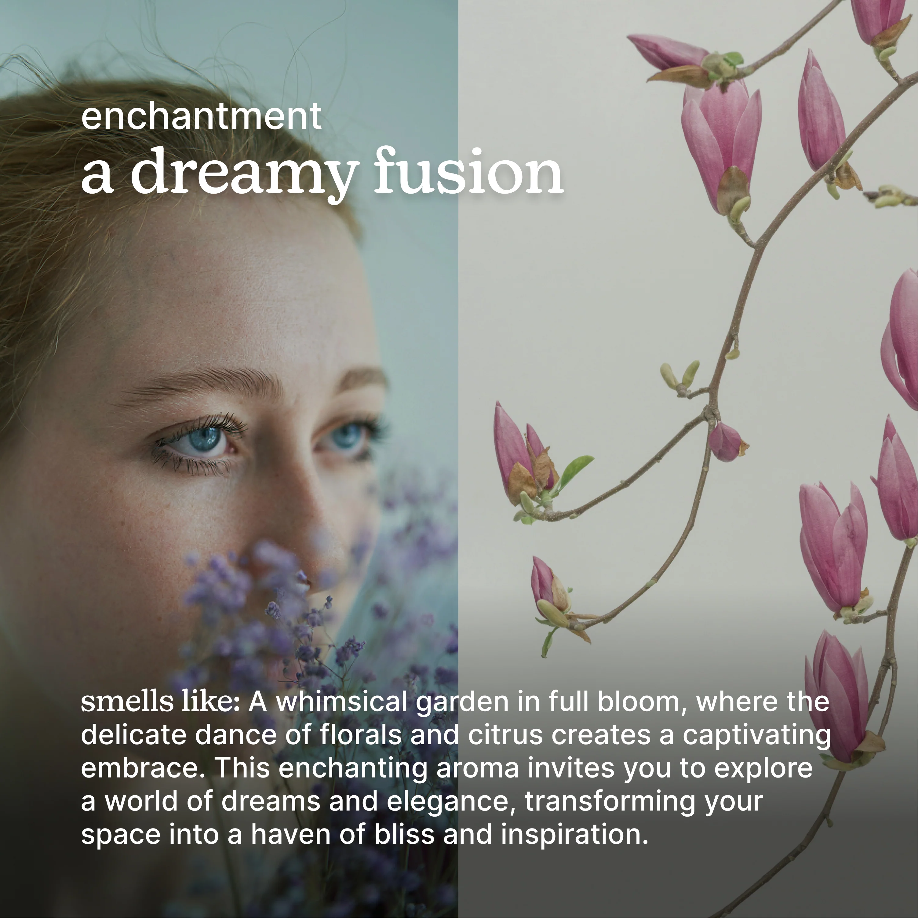 SereneScent™ Enchantment - Image 3