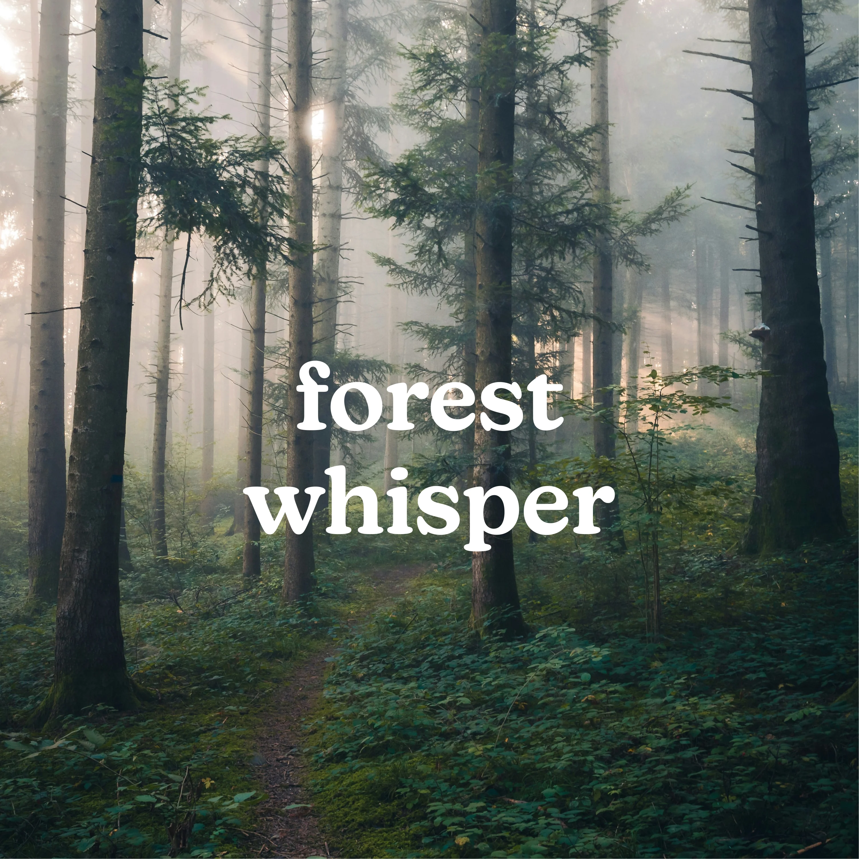 SereneScent™ Forest Whisper - Image 2