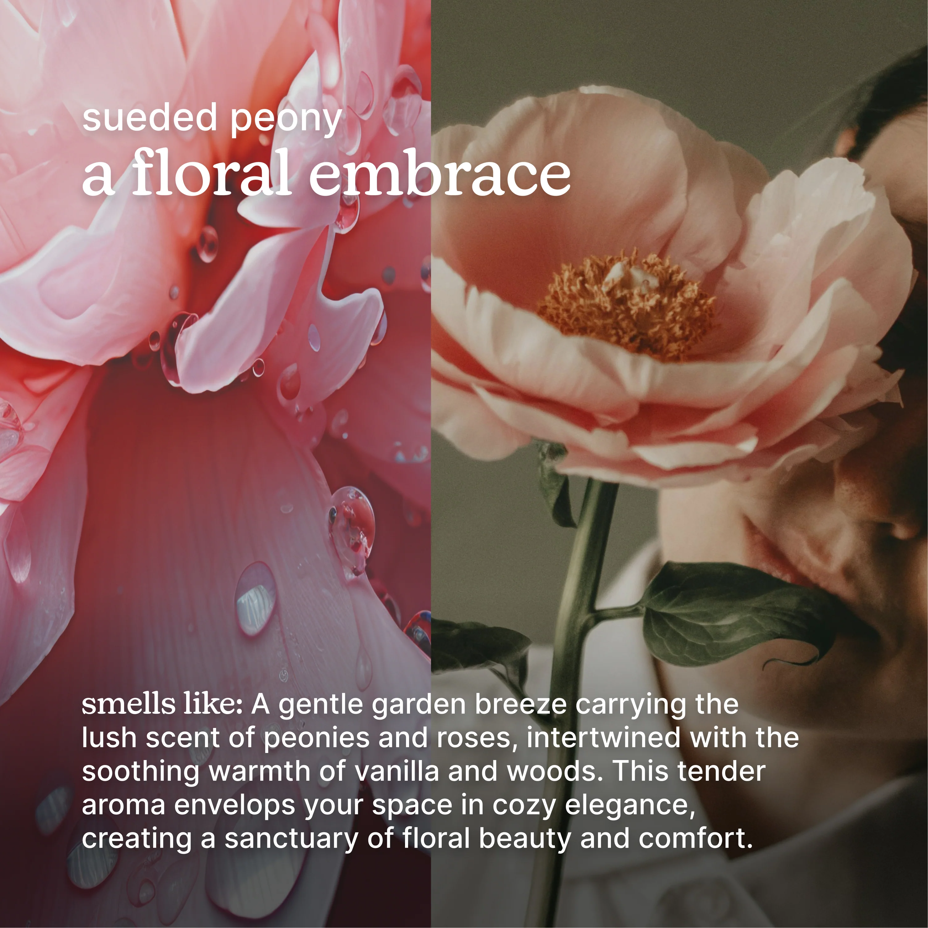 SereneScent™ Sueded Peony - Image 3