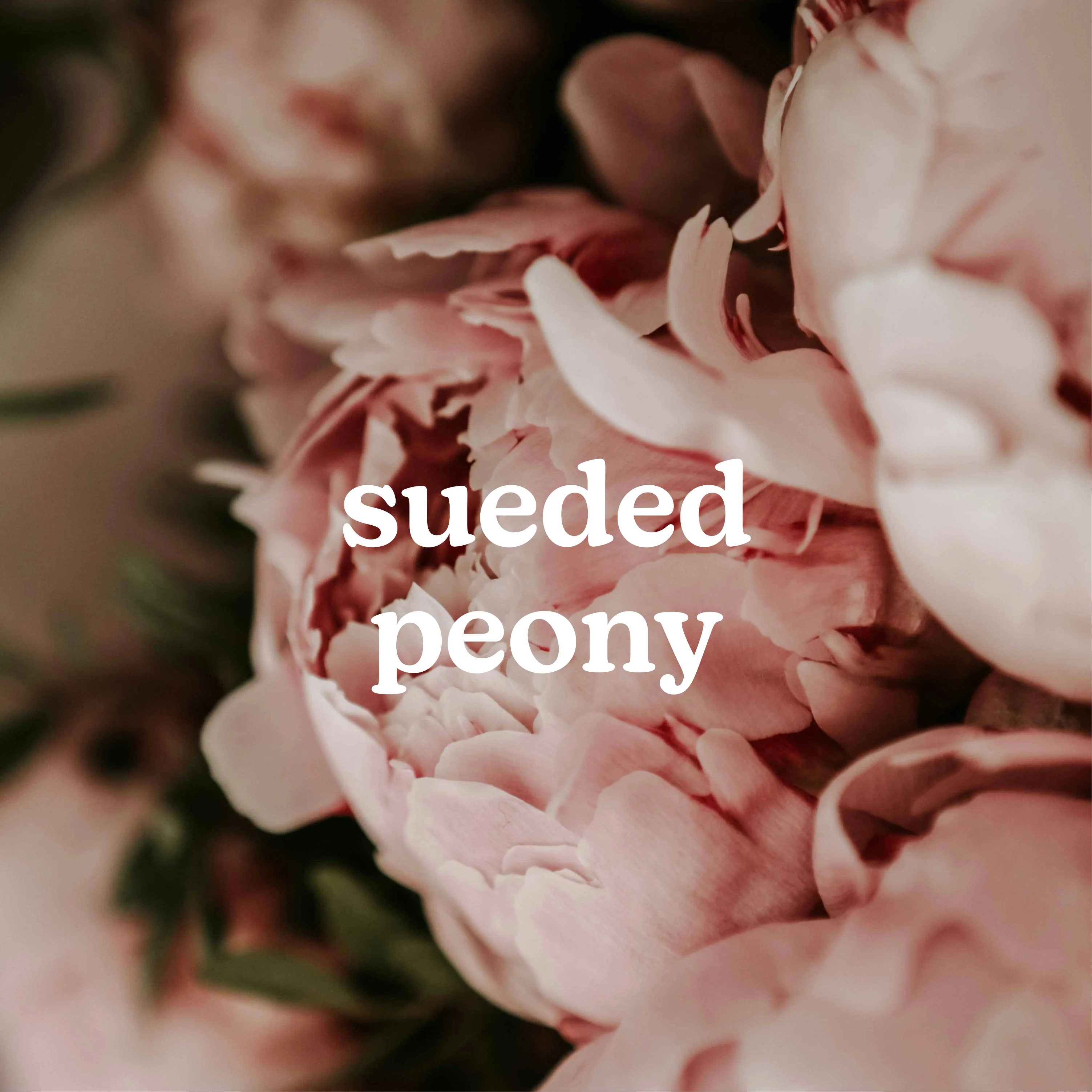 SereneScent™ Sueded Peony - Image 2