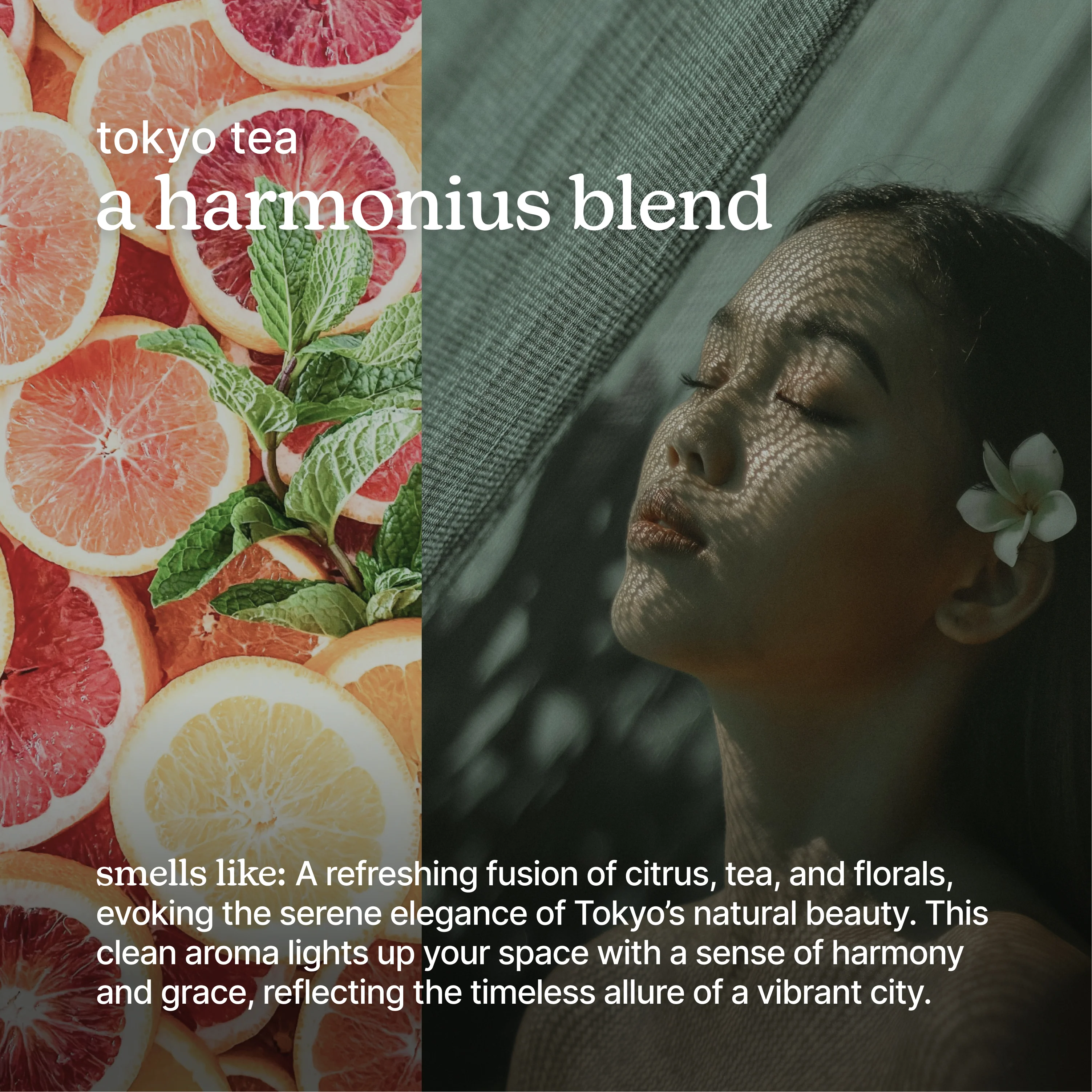 SereneScent™ Tokyo Tea - Image 3