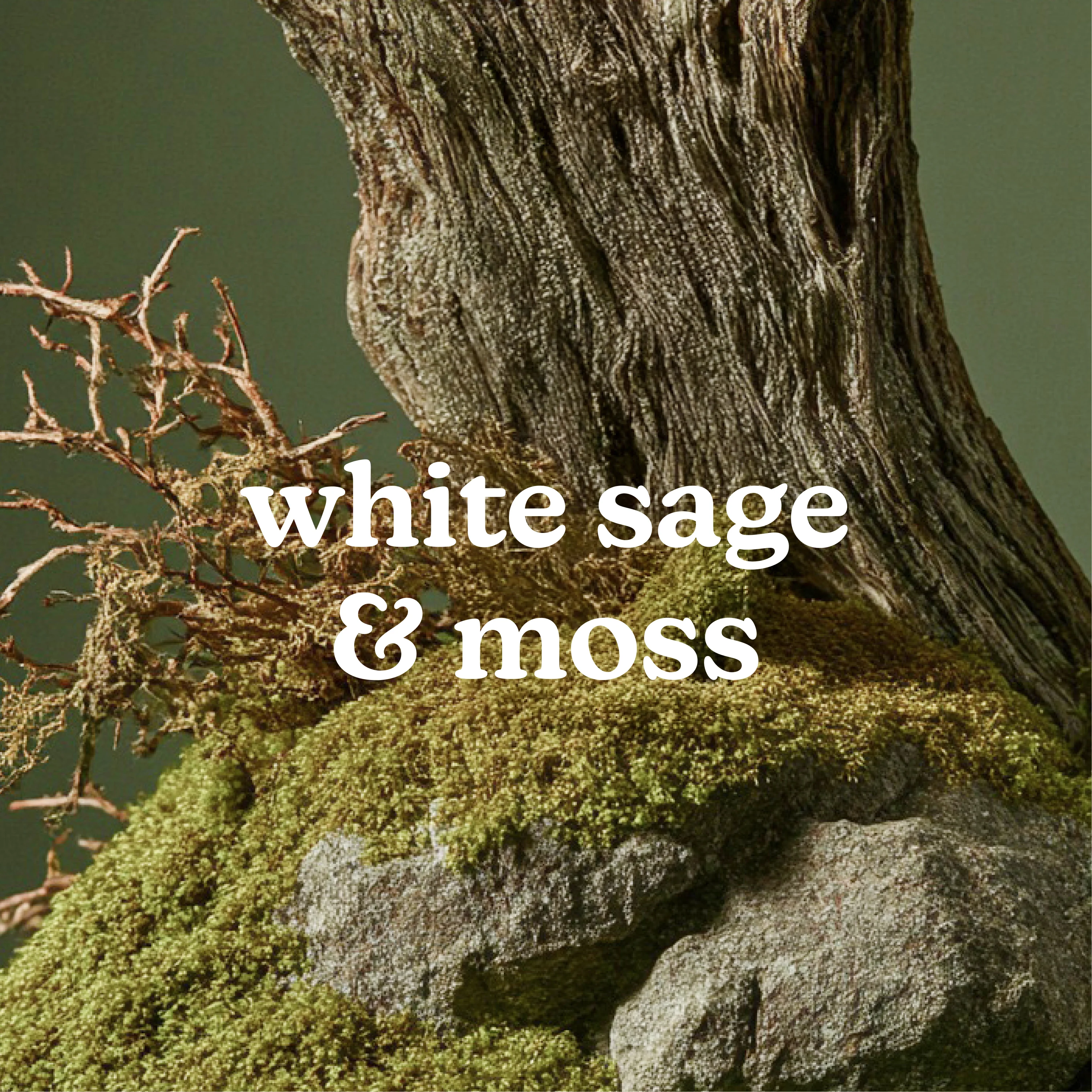SereneScent™ White Sage & Moss 120ml - Image 2