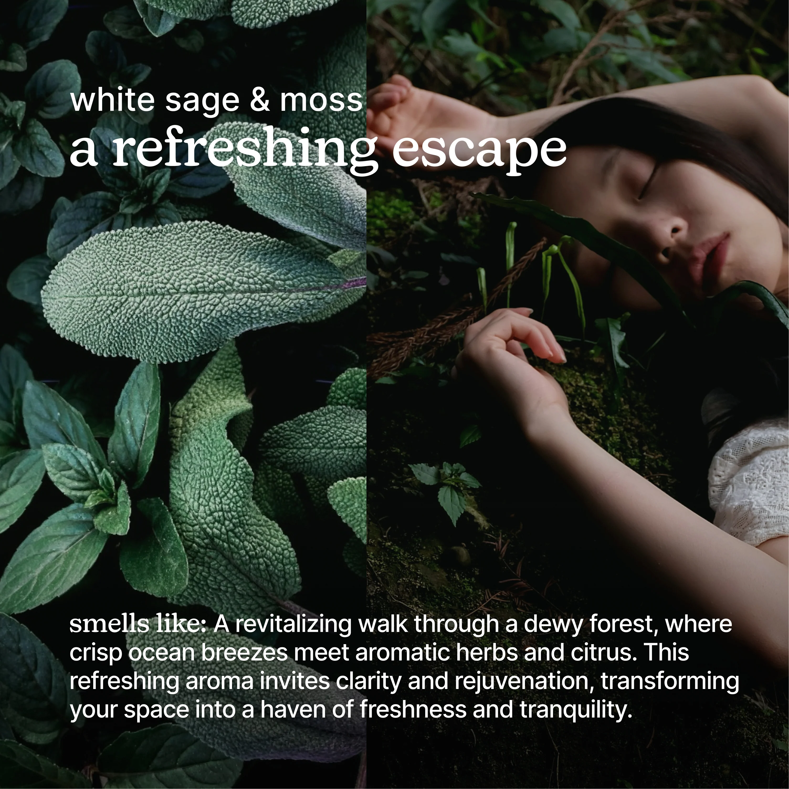 SereneScent™ White Sage & Moss 120ml - Image 3