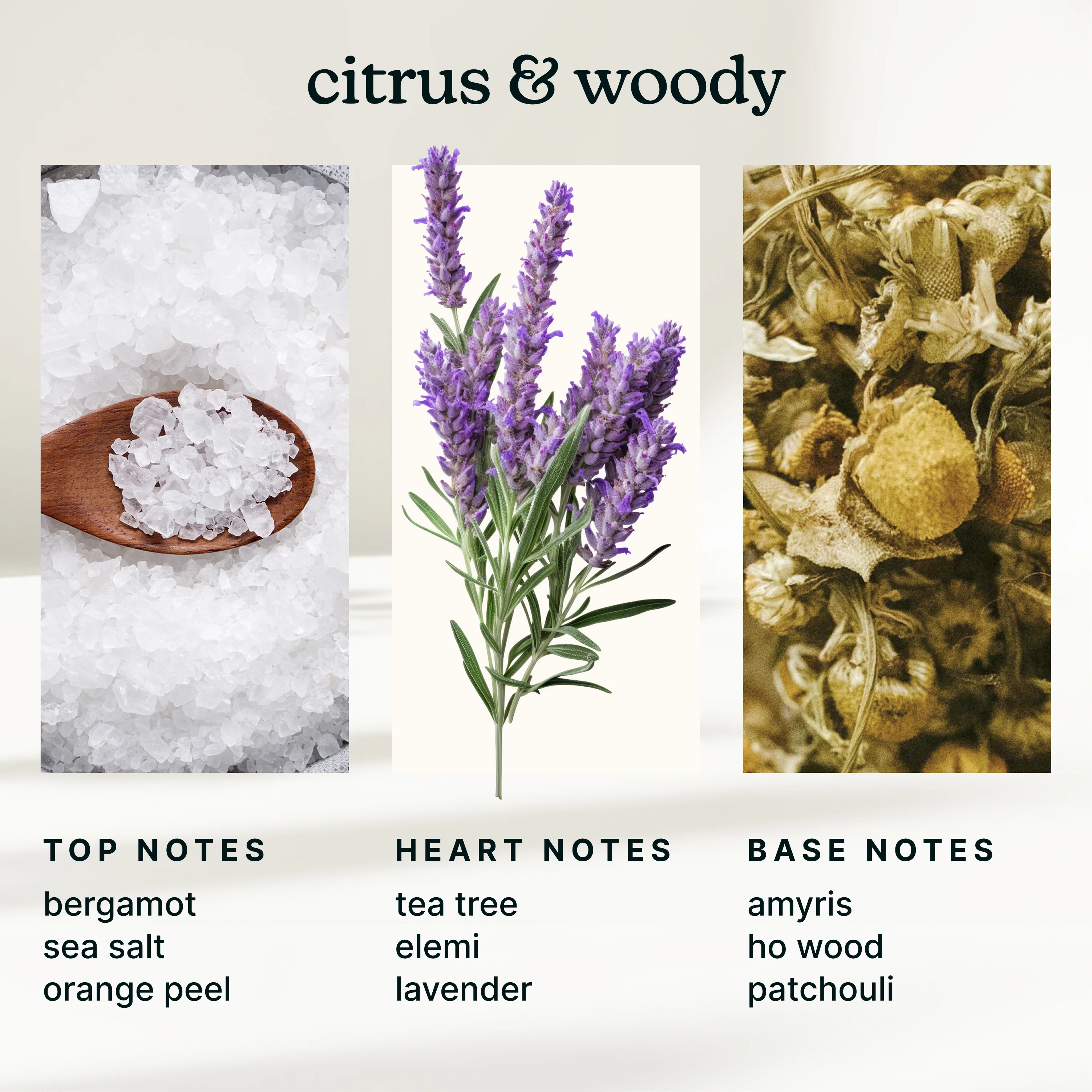 SereneScent™ White Sage & Moss 120ml - Image 4