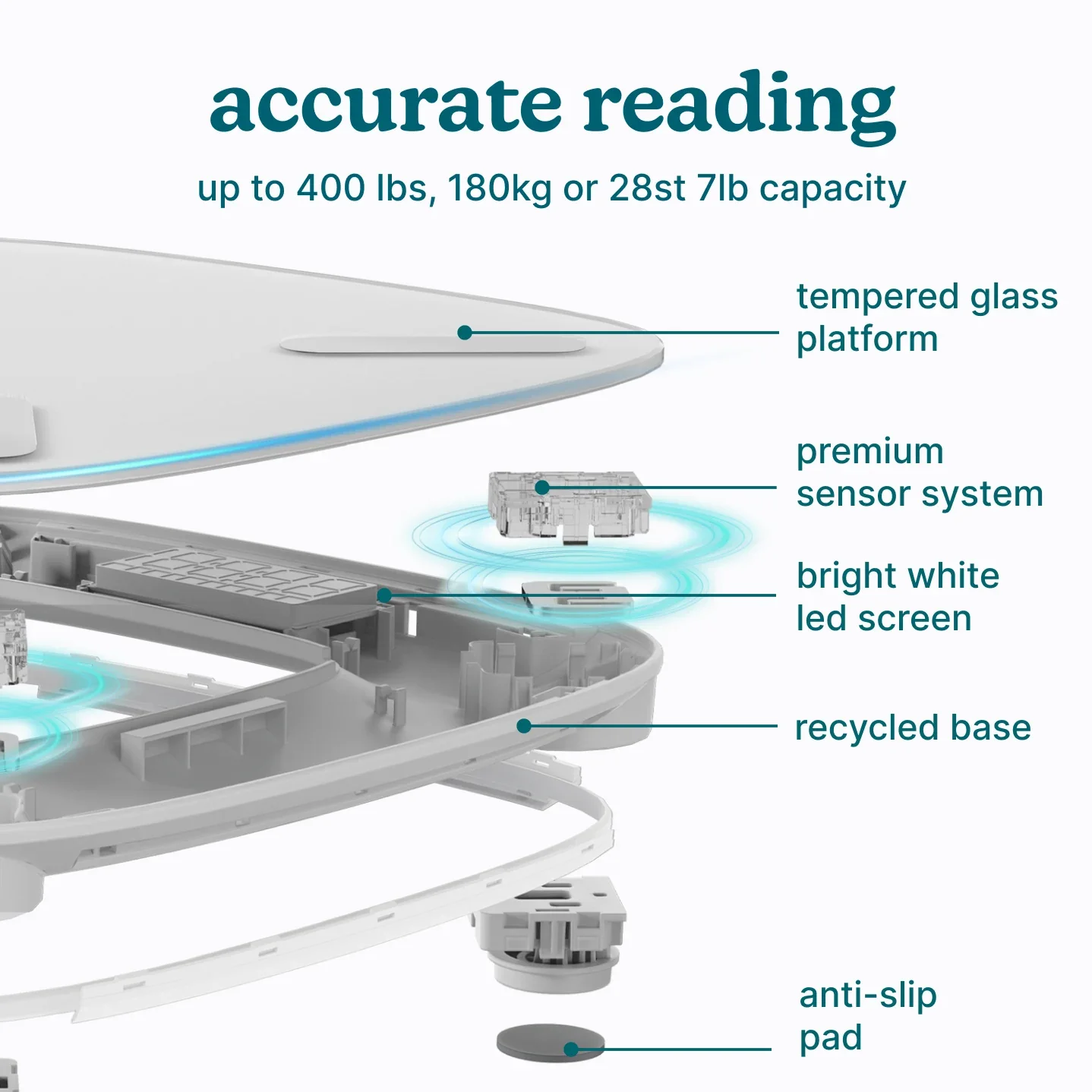 Smart Glo Scale - Image 15