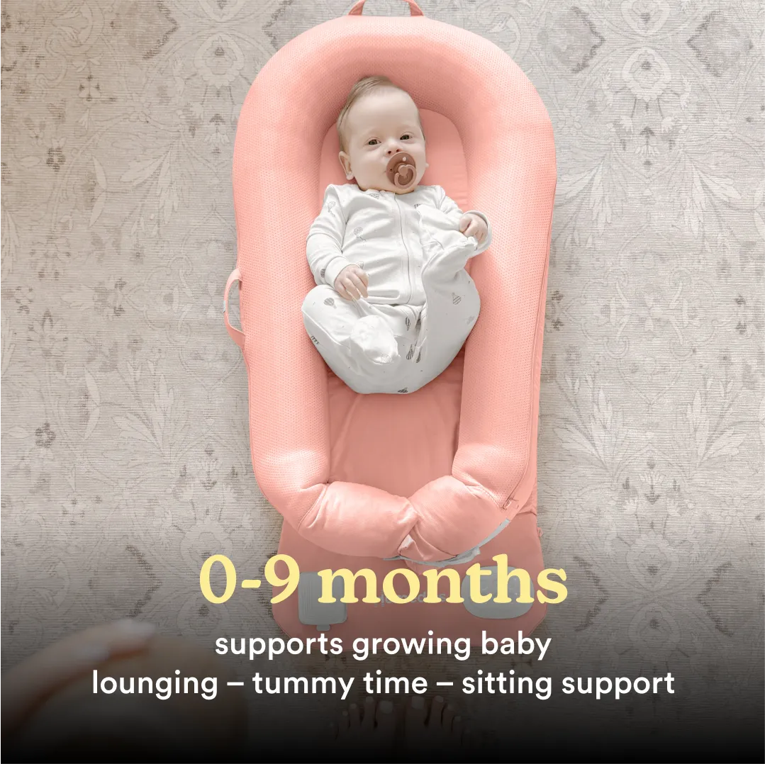 Soothing Sounds & Vibration Baby Lounger - Image 28