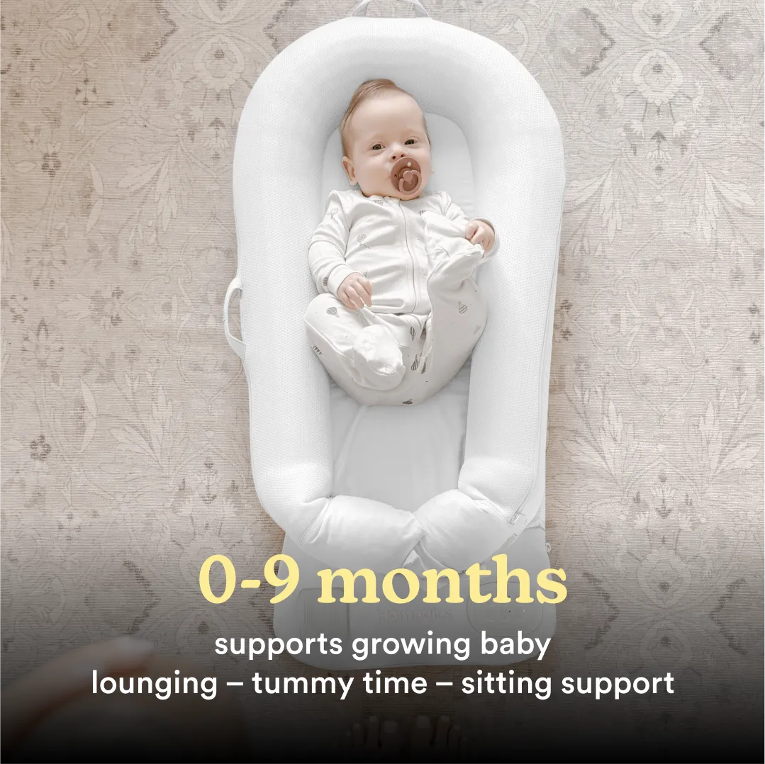 Soothing Sounds & Vibration Baby Lounger - Image 48
