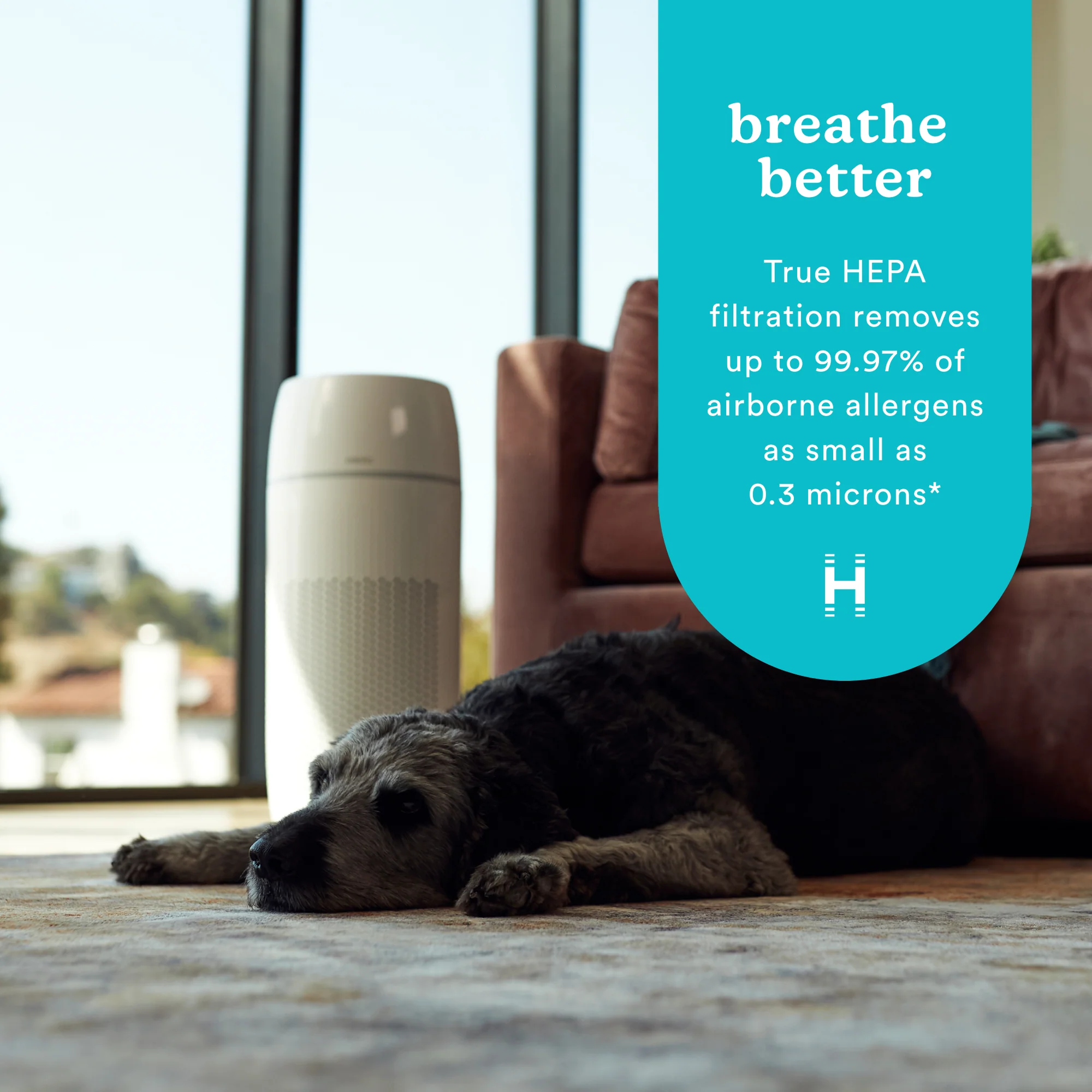 TotalClean® PetPlus 5-in-1 Air Purifier - Image 3