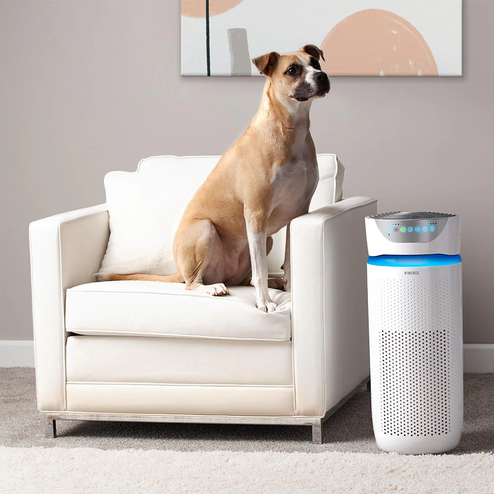 TotalClean® 5-in-1 UV-C Large Room Air Purifier - Image 4